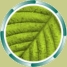 logo industrial crops consult